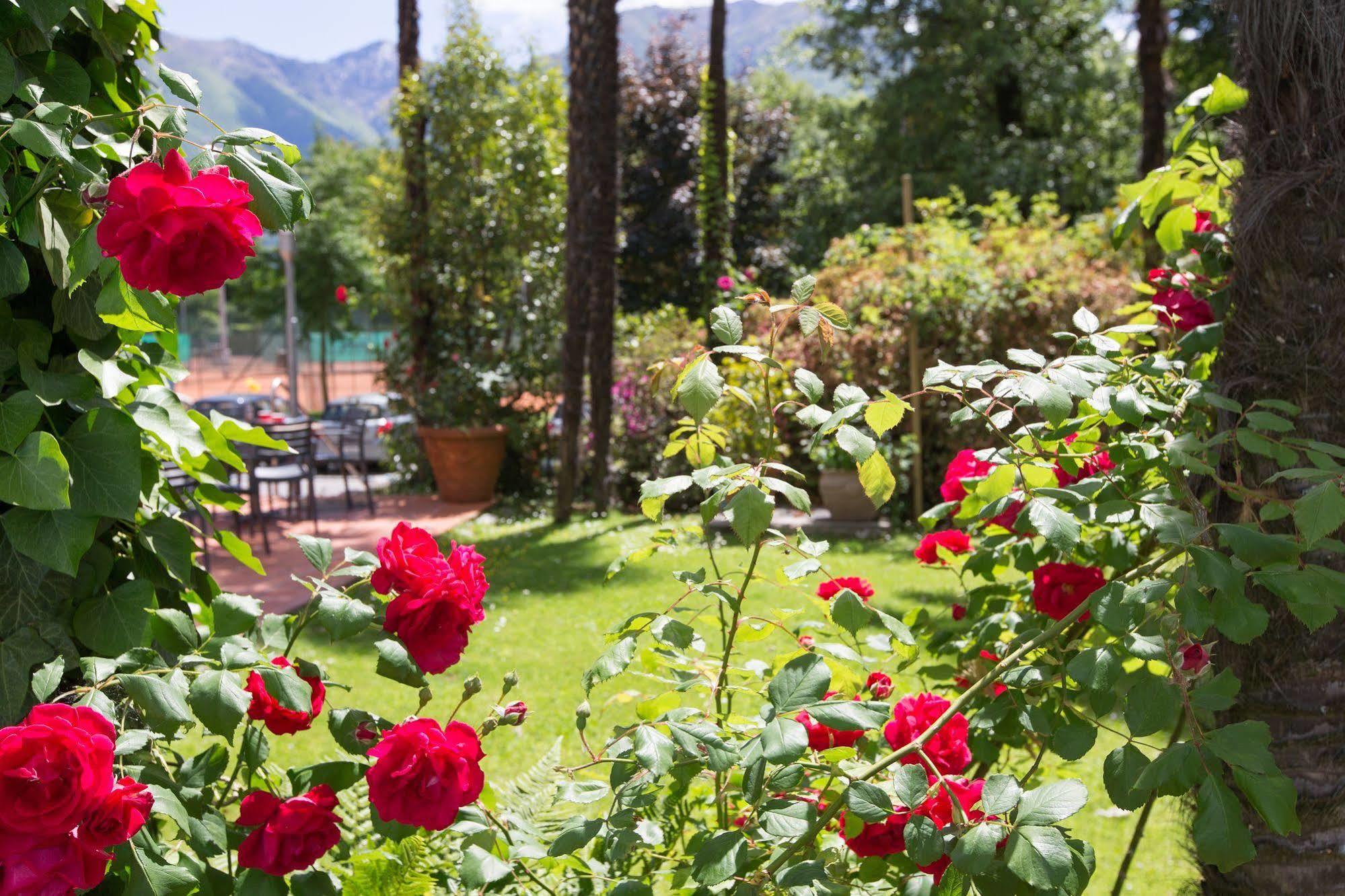 Aparthotel Al Lago Locarno Kültér fotó